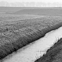 020 21A 2004-nordholland  nordholland 2004 - landschaft natur - analog : landschaft, natur, nordholland, analog-photo