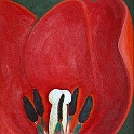 33 tulpe-oel-2000  artfragmente repros mit digitalkamera : art, artfragmente, zeichnung-malerei
