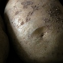 DSCN0928-2004  PLANET POTATO 2004 : planet potato, real potatos, kartoffelplanet, die-wege-photo